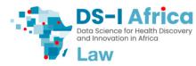 cropped-DSI-Logo-1.jpg