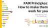 DS-I Africa Webinar: FAIR Principles: How to make them work for you
