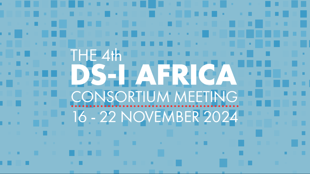 Fourth Meeting of the DS-I Africa Consortium